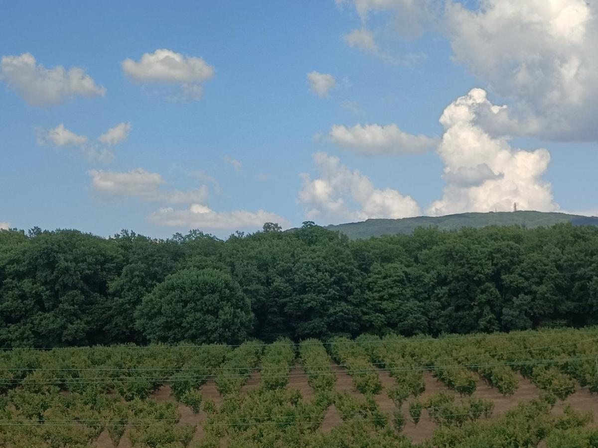 Il Sartore Ветралла Экстерьер фото